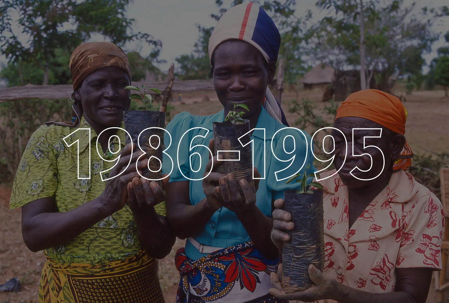 Three Kenyan women wearing green, blue, and orange hold up young plants.