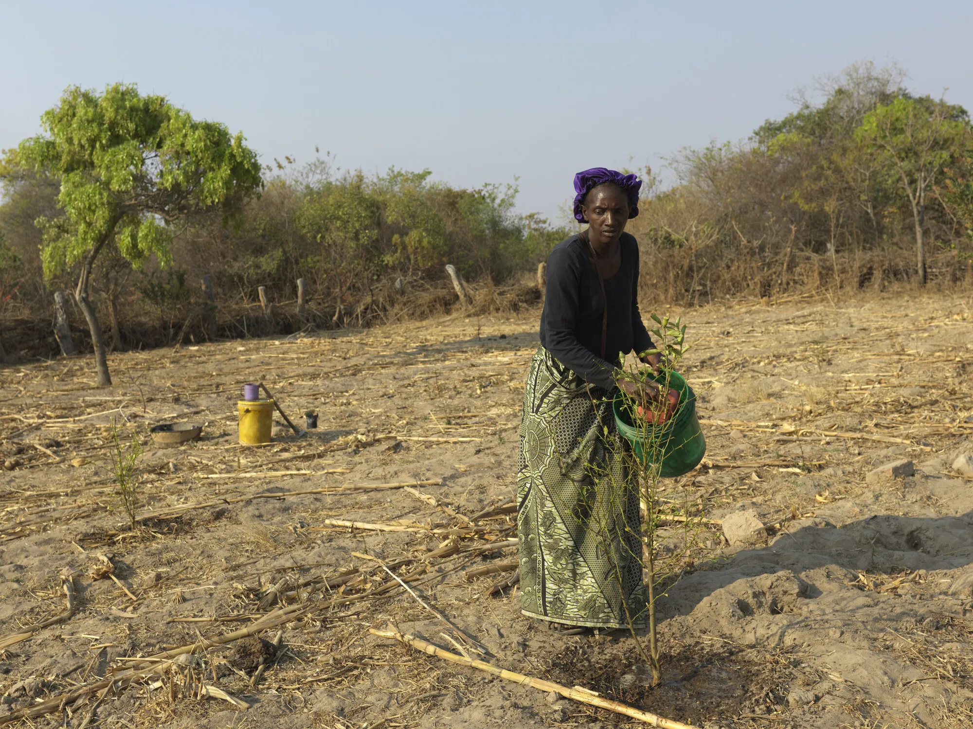 A woman farmer working on her sun-parched land in Zambia.